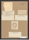 Campylodiscus wallichianus Grev. (de-Toni-Nr.: Genus 57, Species 2471) Zeichnungen Sammlung Grunow Nr. 4971 (NHMW-BOT-W0373201)